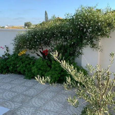 Maison Alriad - Familiar Tranquilo Cerca Del Mar Con Jardin, Porche Y Parking Privado En El Interior De La No Apto Fiestas 公寓 *