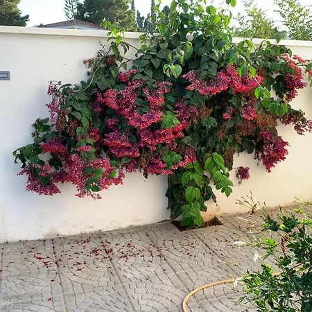 Apartmán Maison Alriad Refugio Familiar En Mojácar